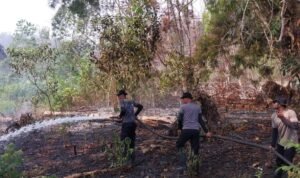 IMG-20260918-WA0013